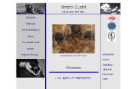 www.briards-aus-lbeck.de