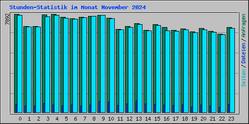 Stunden-Statistik im Monat November 2024