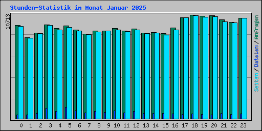 Stunden-Statistik im Monat Januar 2025