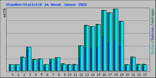 Stunden-Statistik im Monat Januar 2026